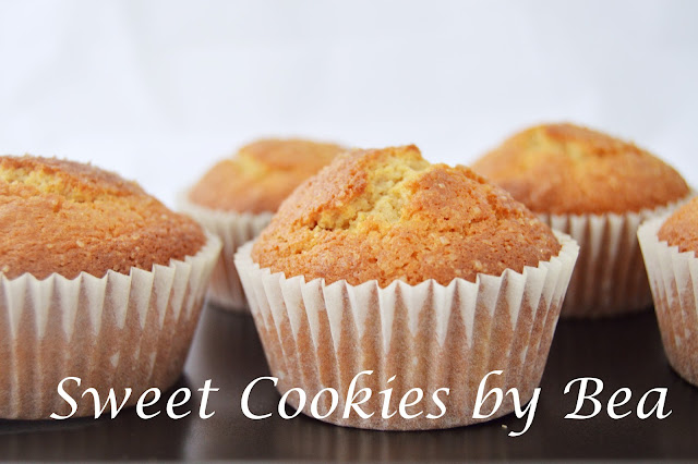 Magdalenas integrales